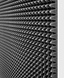 10 Pannelli fonoassorbenti fonoassorbente insonorizzanti 100x100x3 Cm 10mq mod B piramidale per correzione audio in poliuretano isolamento acustico udito