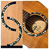 Adesivi intarsiati per chitarre acustiche – Rosetta/Purfling – Fiori