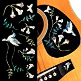Adesivi per chitarre e basso – Assorted Hummingbird – Abalone blu