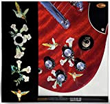 Adesivo per chitarra Volume/Tone Knobs - Birds & Blooms (Hummingbird)