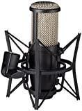 AKG P220, Microfono a condensatore ad ampio diaframma