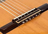 Alba Guitar Beads in plastica, in colore marrone lucido per Chitarra, Ukulele, Mandolino per Corde di Nylon per Chitarra Acustica/Elettrica…