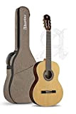 Alhambra 2C Guitarra Clásica + Funda
