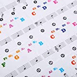 Alomejor Adesivo per Pianoforte Chiave Nota Musicale Rimovibile Sitcker per Etichetta per Pianoforte 61/88 Tastiera(Colorato)