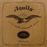 Aquila 22U ukulele baritono string D 49U, New Nylgut, ferita 4th D, string, lunghezza 85 cm