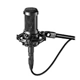 Audio-Technica AT2050 Microfono a condensatore multi-pattern per l'uso in studio e dal vivo su voce, pianoforte, archi, overhead di batteria, ...