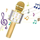 Bearbro Microfono Karaoke Bluetooth con Altoparlante,Portatile KTV Karaoke Player per Cantare, Funzione Eco, per Adulti e Bambini Compatibile con Android/PC ...