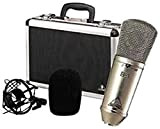 Behringer B-1 Microfono a condensatore da studio a diaframma largo con spruzzatura dorata