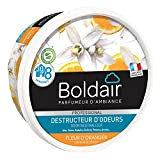 BOLDAIR - Gel distruttivo dell'odore Fiore d'Oranger - Neutralizza gli odori - Profumo - Prodotto gel solido - Multi applicazione ...