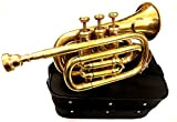 Brass-India - Tromba tascabile in ottone con finitura in ottone, suoni impressionanti qualità Bb W/cassa+Mp Gold