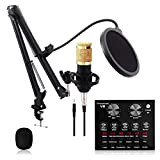 BSJZ Scheda Audio Professionale, Kit Microfono, per spettacoli dal Vivo, Set Riverbero Microfono USB, Set Microfono a condensatore per grida ...
