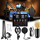 BSJZ Set Audio Scheda Audio con Microfono, Bundle Scheda Audio Live, Braccio a Forbice a Sospensione Regolabile per Microfono, per ...