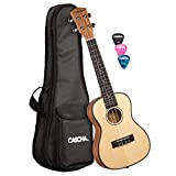 CASCHA concerto ukulele, top in abete massello di abete rosso, top solido, set per chitarra Hawaii con corde Aquila, accessori, ...
