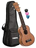Cascha HH 2026 Premium mogano Soprano Ukulele Set, piccola chitarra Hawaii, principiante Ukulele con corde Aquila, Ukulele borsa, 3 plettri