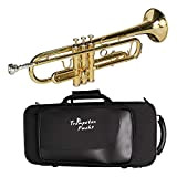CASCHA Trumpet Fox Bb tromba per principianti e avanzati con accessori, boccaglio, panno per la pulizia e custodia, colore oro