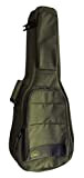 Cibeles - Custodia per chitarra classica con imbottitura da 25 mm, in schiuma ad alta densità, colore: bronzo