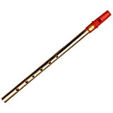 Clare IRISH TIN WHISTLE IN D NICKEL RED