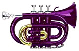 Classic Cantabile Brass TT-400 Tromba tascabile pocket Brass Sib ottone viola