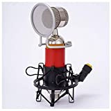 Condensatore Microfono USB Computer Dedicato K Song Microfono Mixing Bop Microfono di Rete Net Red Live Broadcast Equipment Set Live ...