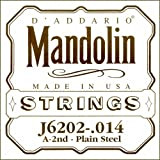 Corda Singola d'Addario J6202 in Acciaio per Mandolino.011