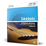 Corde D'Addario EPBB170 in bronzo fosforoso per basso acustico, 45-100, Long Scale