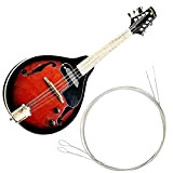 Craymin Calibro leggero di mandolino in nichel d'acciaio (.010-.034) con estremità ad anello