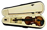 Cremona 3L16-Violino E Arco Su Piume Con Pentagramma