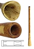 Didgeridoo Eucalyptus standard Natura circa 126 – 140 cm leinoel Percussion spaerisch meditativ Australia mondo musica