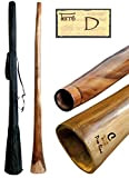 Didgeridoo in eucalipto, altezza tonda D ca. 165-175 cm, professionale, perfetto per toots