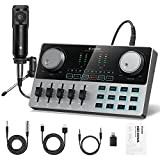 Donner Interfaccia Audio con Mixer DJ e Scheda Audio, Studio di Produzione di Podcast ALL-IN-ONE Portatile Set di Schede Audio ...