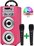 DYNASONIC (3a generazione - Altoparlante Bluetooth portatile per karaoke con microfoni inclusi | Lettore USB e SD, radio FM, modello ...
