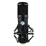 Eagletone CM60 Microfono a Condensatore