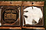 Ernie Ball Everlast 2548 rivestito fosforo bronzo luce corde per chitarra acustica 11-52 (2 PACK)