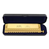 fangzhuo, Armonica cromatica 16 fori 64 toni armonica a bocca Instrumentos chiave di C Strumenti musicali professionali