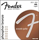 Fender Phosphor Bronze Acoustic 60L 12-53