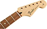 Fender Standard Series Stratocaster Hals, 21 Medium Jumbo Frets, Pau Ferro