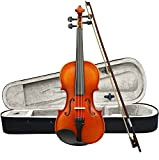ffalstaff Violino finitura lucida (1/2)