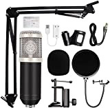 FMOPQ Wireless Microphones Microfone BM 800 Studio Microphone Professional Microfone Bm800 Condenser Sound Recording Microphone for Computer Microphone to Sing. ...