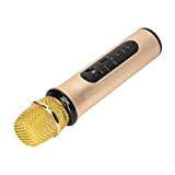 FOKH Microfono, Microfono multiprotezione Portatile per Il Compleanno(Oro)