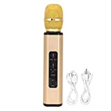 FOKH Microfono per Canto, Microfono per Karaoke Portatile con Riverbero per PC per Smartphone(Oro)