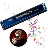 G Armonica Diatonica Armonica Cromatica 24 Fori Armonica Blues Harp Armonica 24 Fori Armonica Per Adulti Organo A Bocca Cromatico ...