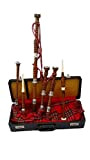 Grande cornamusa in palissandro naturale color argento, misura intera, cornamusa, cornamusa scozzese, custodia rigida Dudelsack/Gaita
