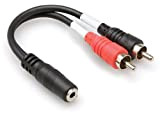 Hosa Stereo Breakout 3.5 MM TRSF to Dual RCA