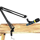 HqSgdMn Microfono Mobili per Chitarra Che Canta la Registrazione Suonante Del Microfono in Metallo a Sbalzo Gimbal a Sbalzo (Colore: ...