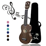 HUAWIND Soprano ukulele in legno, 21“ Ukulele per principianti, Chitarra per bambini, Adatto per principianti, studenti, adulti e bambini (con ...
