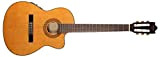 Ibanez GA5TCE-AM Classical Series - Electro-Acoustic Thinline Guitar -, Amber High Gloss
