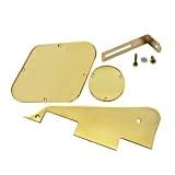 IKN Set di battipenna LP/piastra di controllo/coperchio selettore/staffa dorata/viti di montaggio per chitarra Epiphone Les Paul standard, specchio dorato