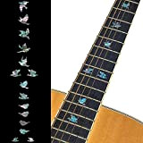 Inlay Sticker - Pennarello per tastiera e tasti per chitarre e bassi, mix di abalone