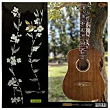 Inlaystickers Tree Of Life w/Hummingbird - Fret Markers per chitarre da 23" (Travel) FT-055TL-HM-23