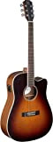 JamesNeligan 25019687 EZR-Acoustic Guitar dcfi Electro con cutaway Cedar Sunburst